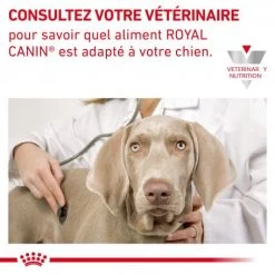 ROYAL CANIN Veterinary Health Nutrition Dog Cardiac Boîte -Animaux Compagnie Fournitures Magasin veterinary diet dog cardiac boite 5