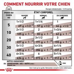 ROYAL CANIN Dog Hepatic Boîte -Animaux Compagnie Fournitures Magasin veterinary diet dog hepatic boite 3