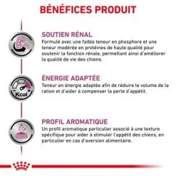 ROYAL CANIN Veterinary Health Nutrition Dog Renal Special Boîte -Animaux Compagnie Fournitures Magasin veterinary diet dog renal special boite 2