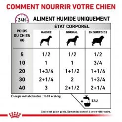 ROYAL CANIN Veterinary Health Nutrition Dog Renal Special Boîte -Animaux Compagnie Fournitures Magasin veterinary diet dog renal special boite 3