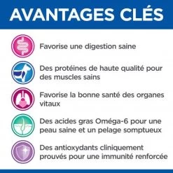 Vet Essentials Feline Adult Pack Mixte Sachet Repas -Animaux Compagnie Fournitures Magasin vetessentials feline adult poulet saumon pack msachet repas 1