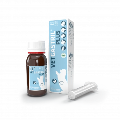 Vetgastril 4 Vetgastril – Image 2