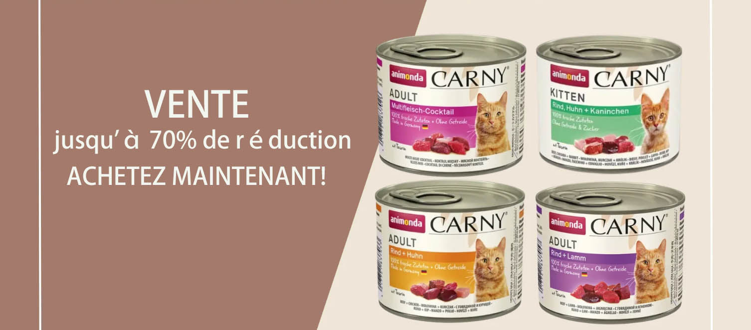 Animaux Compagnie Fournitures Magasin -Animaux Compagnie Fournitures Magasin DGDG