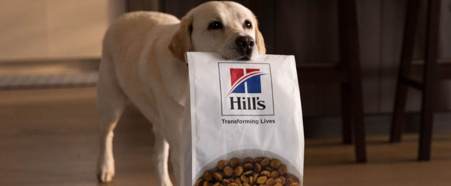 Animaux Compagnie Fournitures Magasin -Animaux Compagnie Fournitures Magasin SDFF